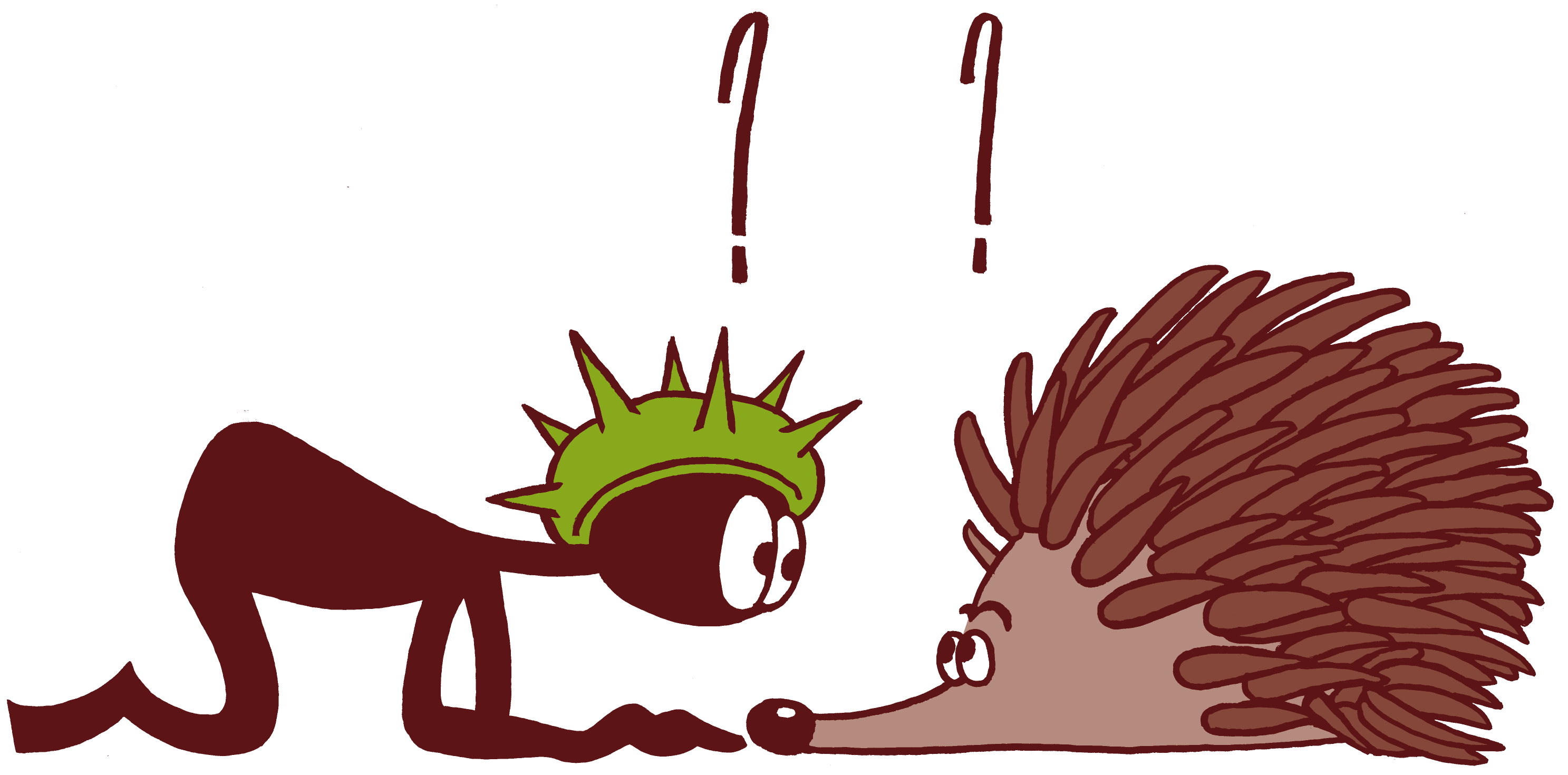 Rencontre avec un hérisson